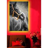 Wallity Zidna slika sa LED osvetljenjem 4570DACT-2, 45x70 cm | Eponuda.ba