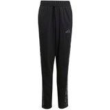 Adidas Športne hlače temno siva / črna | Shoptok.si