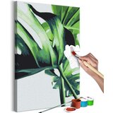  Slika za samostalno slikanje - Monstera Adansonii 40x60 | shoptok.hr