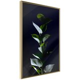  Poster - Floral Elegance 20x30 Cijene