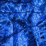 springos božićne lampice, 500 LED, 31,5 m, plava | shoptok.hr