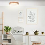 Brilliant LED plafonsko svetlo SLIMLINE LED/22W/230V Ø 39 cm fikus | Eponuda.com