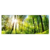 ProArt Steklena slika (Towards the Sun, Š x V: 125 x 50 cm) Cene