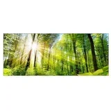 Steklena slika (Towards the Sun, Š x V: 125 x 50 cm)