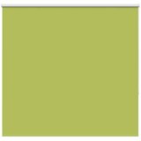 vidaXL Rolo zatemnitvena zavesa z listi zelene barve 145x130 cm, širina blaga 141,6 cm, poliester, (5000297712) | Shoptok.si