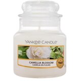 Yankee Candle Camellia Blossom 104 g dišeča svečka | Shoptok.si