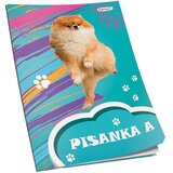  OBRAZAC ŠKOLSKI PISANKA "A" ZA 1RAZRED PREMIUM CONNECT GIRL | shoptok.hr