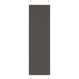 vidaXL Plisirana roleta crna 60x200 cm širina tkanine 59,4 cm