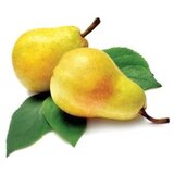  Kruške Viljamovka 1kg Cene