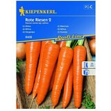 KIEPENKERL Profi-Line Sjeme povrća Mrkva Rote Riesen 2 (Daucus carotis ssp. sativus, Berba: Rujan, 10 m²) Cijene