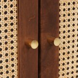 vidaXL Omare in policami za shranjevanje medijev s shranjevanjem z vrati Rjava | Shoptok.si