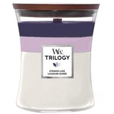 WoodWick svijeća trilogy medium evening luxe 1743627e | shoptok.hr