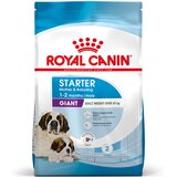 Royal Canin Giant Starter Mother & Babydog - Varčno pakiranje: 2 x 15 kg | shoptok.hr