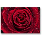  Slike na platnu cveće (moderne slike na platnu) | ePonuda.com