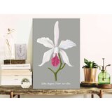  Slika za samostalno slikanje - Lelia elegans 40x60 | shoptok.hr