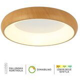  led plafonska lampa F2081-58C wd Cene