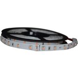 Mitea Lighting MLR-2835-60 pink led traka 5m 12V 4,8W 60 LED/1m IP20 | ePonuda.com