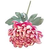  Umjetni cvijet Krizantema (Visina: 66 cm, Boja cvijeta: Tamno roza) u