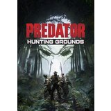  predator: hunting grounds steam key europe | ePonuda.com