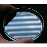 Lacerta petrijeva šolja 60mm ( Petri060 ) cene