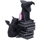 Nemesis Now Ukrasna figurica Cult Cuties Curious Cauldron | shoptok.hr
