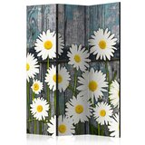  Paravan u 3 dijela - Return to the Innocence [Room Dividers] 135x172 Cijene