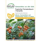 Saflax Tropsko paradižnikovo drevo / Tamarillo Cene