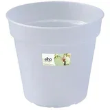 Cvetlični lonec za orhideje (Ø 13 cm, transparenten)