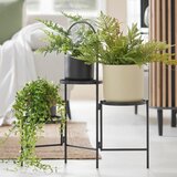 Modern Living Okrasna Rastlina Farn Ii | Shoptok.si