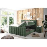 MID.YOU POSTELJA BOXSPRING 180 cm x 200 cm , tekstil, leseni material olivno zelena | Shoptok.si