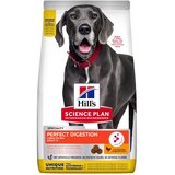 HILL'S SCIENCE Plan Perfect Digestion Adult Large Breed - Varčno pakiranje: 2 x 14 kg | shoptok.hr