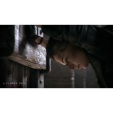 Focus Home Interactive A Plague Tale: Innocence (Playstation 4) | Shoptok.si