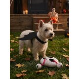 Sinsay Halloween kostim šišmiša za psa | shoptok.hr
