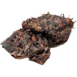 BUTEO PHOTO GEAR Camouflage Net 1 Coloured Leaf 2,4 x 3m u
