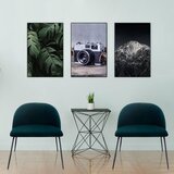MID.YOU Stol Velvo, Barva Petroleja | Shoptok.si