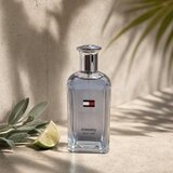 Tommy Hilfiger Tommy New York toaletna voda za muškarce 100 ml | shoptok.hr