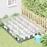 vidaXL Prozorna ponjava z očesci 2x3 m polietilen | Shoptok.si