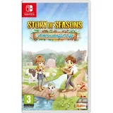 of Seasons Wonderful Life (SWITCH)