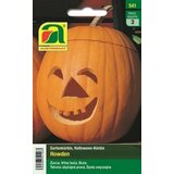 AUSTROSAAT Halloween-buča "Howden" Cene
