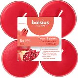 Bolsius Maxi dišeče čajne svečke "True Scents" - 8h (8 kosov) - granatno jabolko Cene