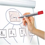 Marker flipchart 2mm pk6 lumocolor staedtler 356 wp6 sortirano | shoptok.hr