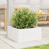  Vrtna sadilica bijela 50 x 50 x 23 cm od masivne borovine | shoptok.hr