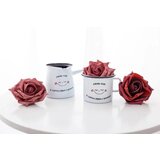 Cuckoo Cups EMAJLIRANA DŽEZVA ‘JUTRANJI NASMEH’ | Shoptok.si