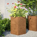 vidaXL Vrtno korito heksagon 46x40x45 cm corten jeklo Cene