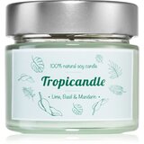 Tropicandle Lime, Basil & Mandarin dišeča sveča 150 ml | Shoptok.si