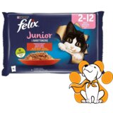 Purina Felix le Ghiottenerie Junior s Govedinom i Piletinom u želeu 4x85g | ePonuda.com