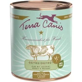 Terra Canis Varčno pakiranje brez žit 12 x 800 g - Mix puran & govedina