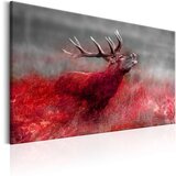  Slika - Bloody Field 120x80 Cijene