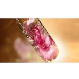Lancôme Absolue nežna regeneracijska krema z izvlečkom vrtnice 30 ml | Shoptok.si