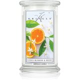 Kringle Candle Classic Citrus Blossom & Honey dišeča sveča 623 g Cene